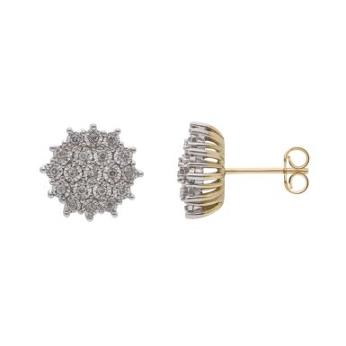 New 9ct Yellow & White Gold 0.24ct Diamond Cluster Stud Earrings